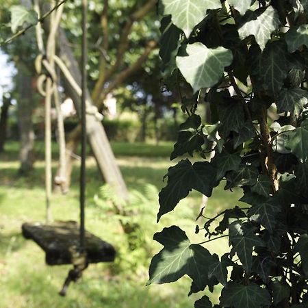 Agriturismo Da Gas San Giorgio In Bosco Εξωτερικό φωτογραφία