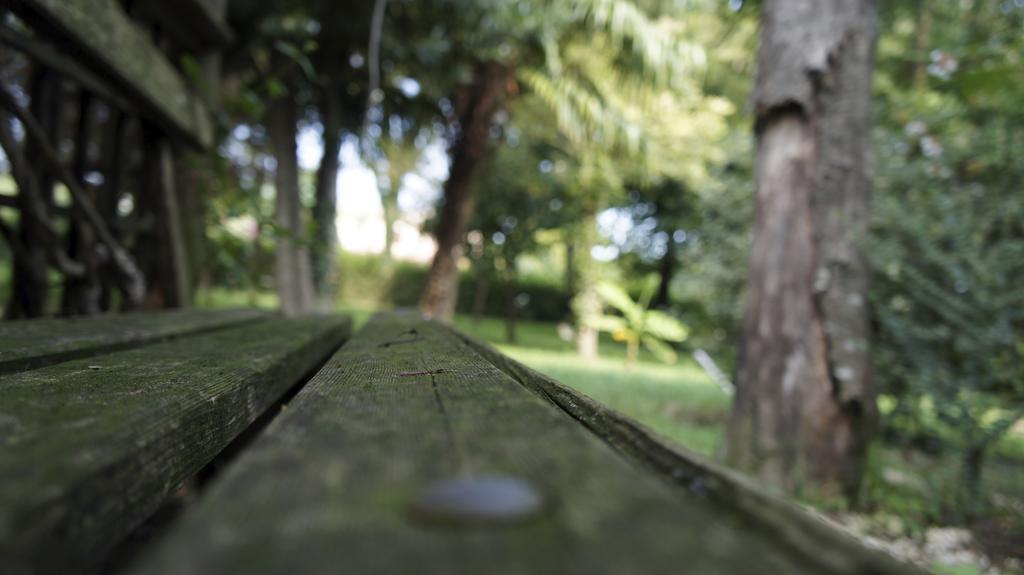 Agriturismo Da Gas San Giorgio In Bosco Εξωτερικό φωτογραφία