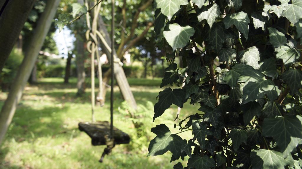 Agriturismo Da Gas San Giorgio In Bosco Εξωτερικό φωτογραφία