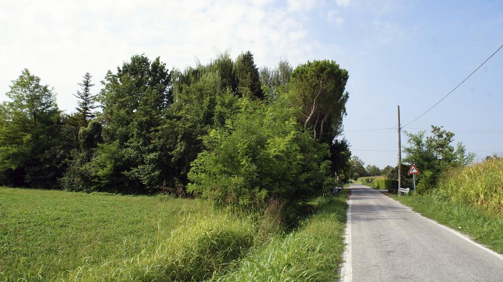 Agriturismo Da Gas San Giorgio In Bosco Εξωτερικό φωτογραφία